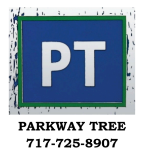 Parkway Tree